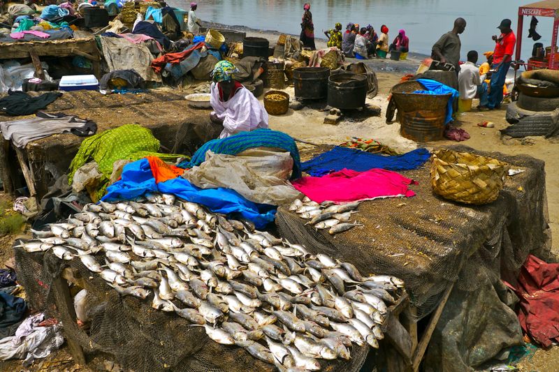 Senegal